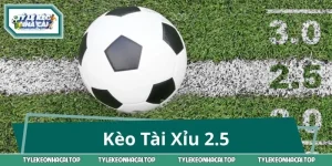 Kèo Tài Xỉu 2.5: Giải Mã Thế Trận, Đọc Kèo Cực Chuẩn